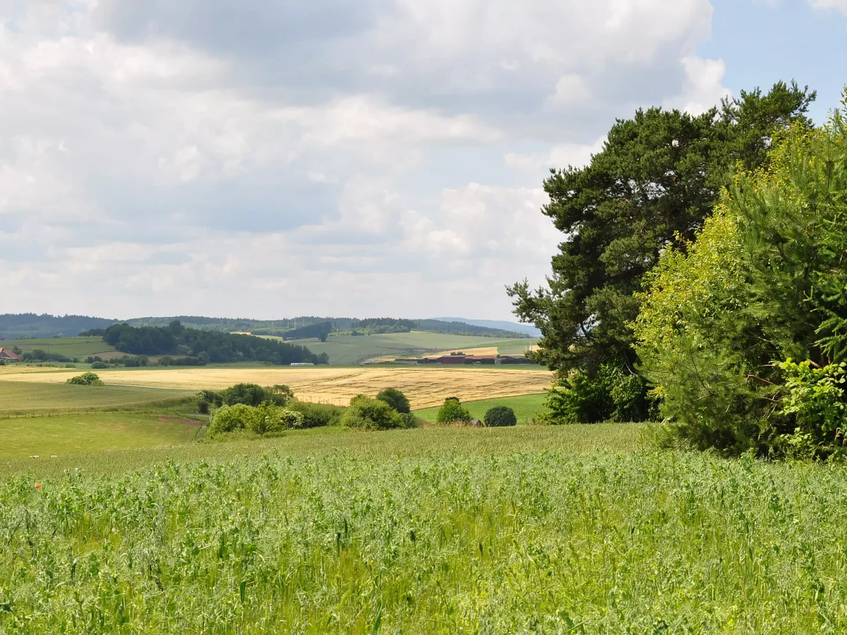 Grünes Baugrundstück in Frankenberg mit weiter Aussicht auf Felder und Wälder.