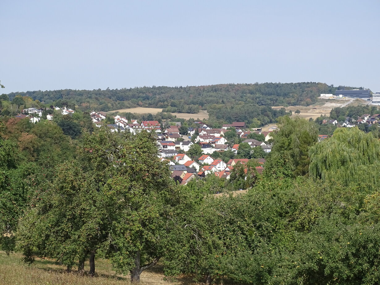 Blick auf den Ortsteil Flacht mit vielen Häusern und umgeben von grünen Bäumen und bewaldeten Hügeln im Hintergrund