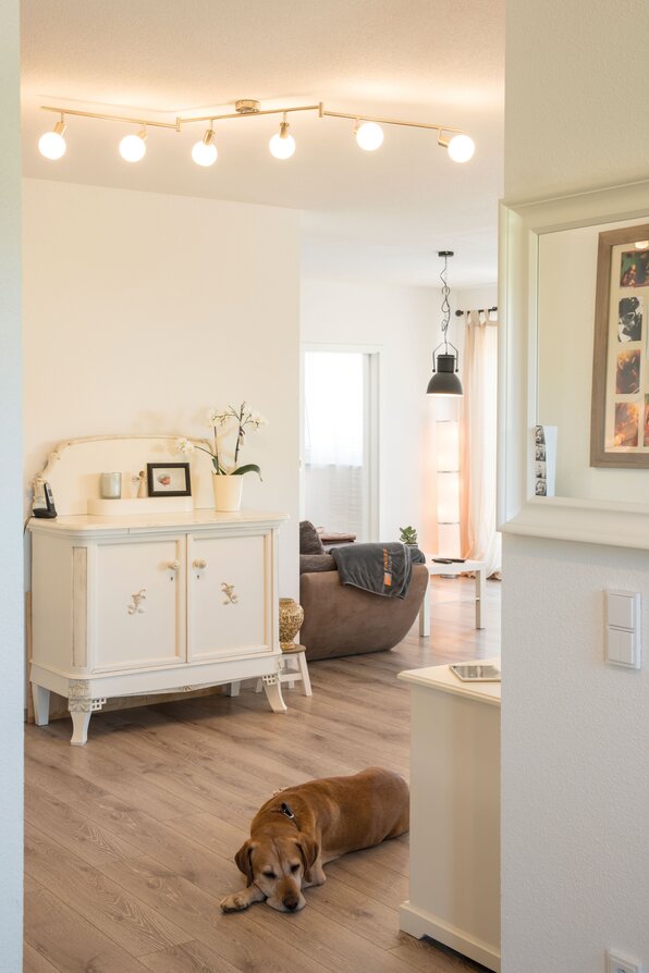 Gemütliches Wohnzimmer in einem FingerHaus mit hellem Mobiliar, modernen Lampen und einem Hund, der entspannt auf dem Holzboden liegt.