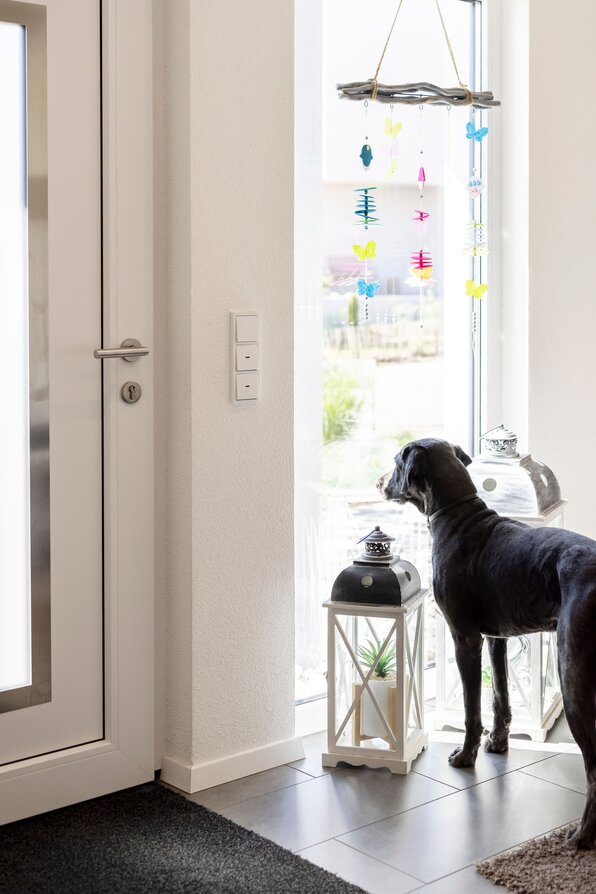 Hund steht im Eingangsbereich eines Hauses und blickt durch das bodentiefe Fenster nach draußen.