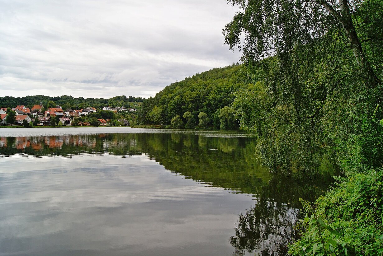 Blick auf den See und angrenzende Natur bei Nieder-Werbe mit Baugrundstück am Ufer.
