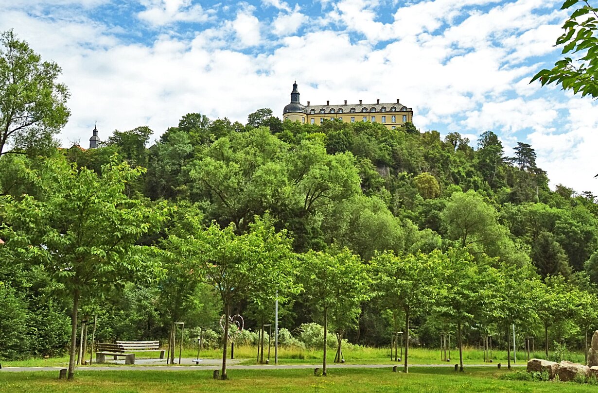 Blick auf das Schloss Friedrichstein in Bad Wildungen, das auf einem bewaldeten Hügel über einer Parklandschaft thront, unter blauem Himmel mit weißen Wolken.