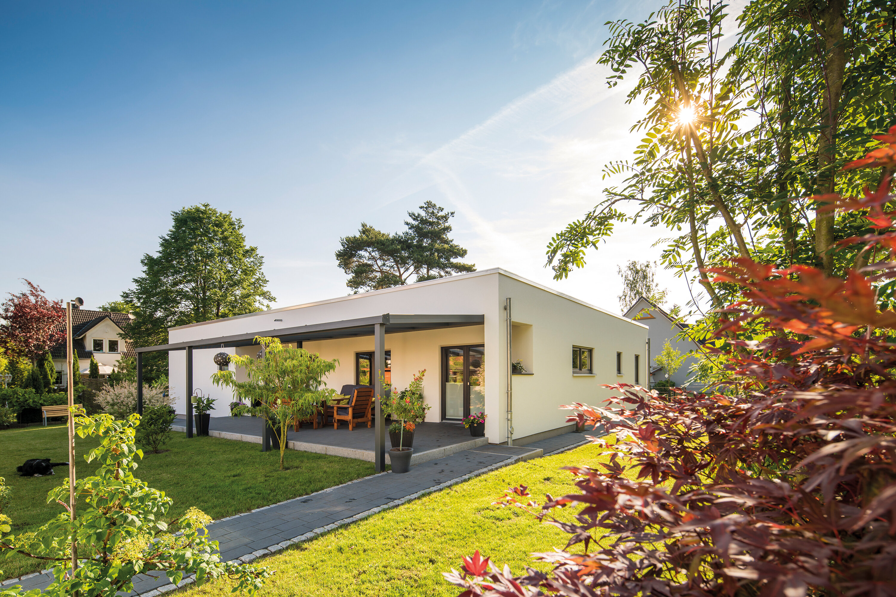 Bungalow mit Flachdach und überdachter Terrasse in einem sonnigen Garten mit Bäumen und Sträuchern
