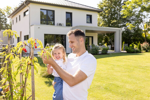 Vater hält ein Kind im Arm und pflückt Kirschen im Garten eines frei geplanten FingerHaus Kundenhauses mit weißer Fassade und überdachter Terrasse.
