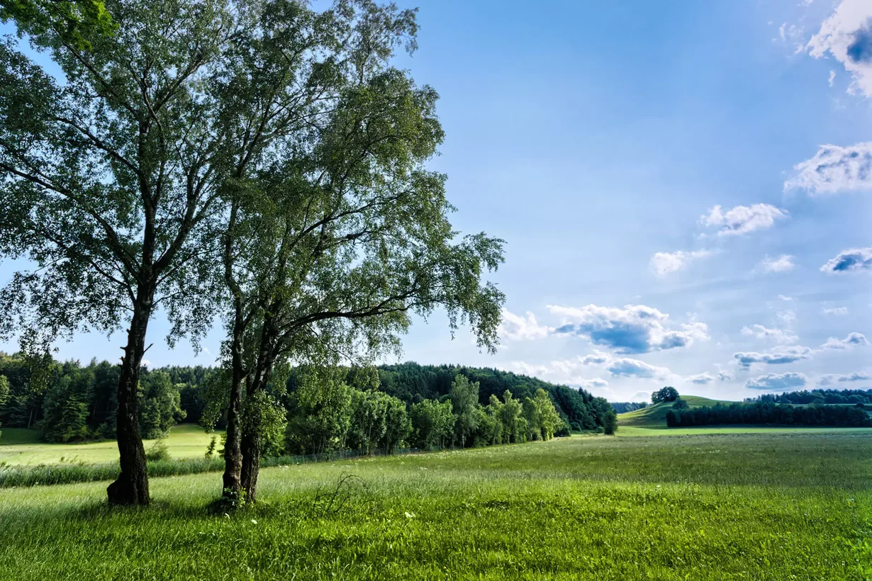 Baugrundstück mit weiter Aussicht über grüne Wiesen und Wälder unter blauem Himmel.